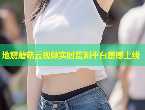 地震蘑菇云视频实时监测平台震撼上线  第1张