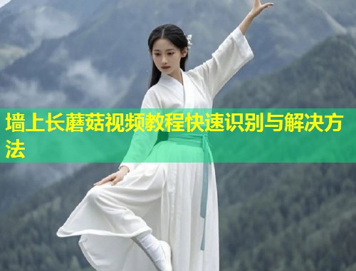 墙上长蘑菇视频教程快速识别与解决方法  第1张