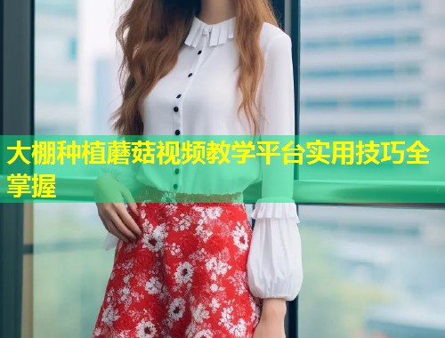 大棚种植蘑菇视频教学平台实用技巧全掌握  第1张