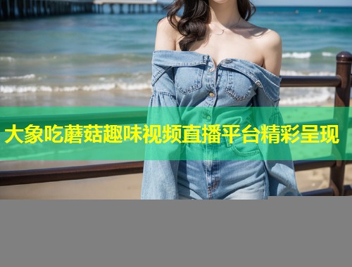大象吃蘑菇趣味视频直播平台精彩呈现  第1张