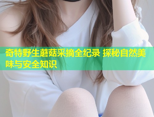 奇特野生蘑菇采摘全纪录 探秘自然美味与安全知识  第1张