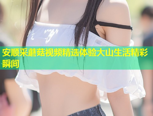 安顺采蘑菇视频精选体验大山生活精彩瞬间  第1张