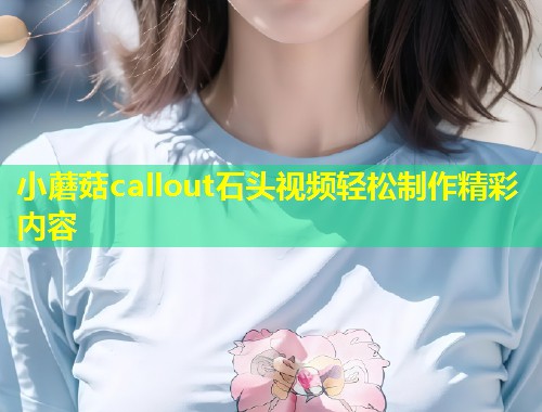小蘑菇callout石头视频轻松制作精彩内容  第1张