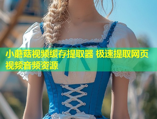 小蘑菇视频缓存提取器 极速提取网页视频音频资源  第1张