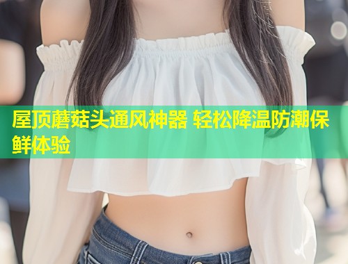 屋顶蘑菇头通风神器 轻松降温防潮保鲜体验  第2张