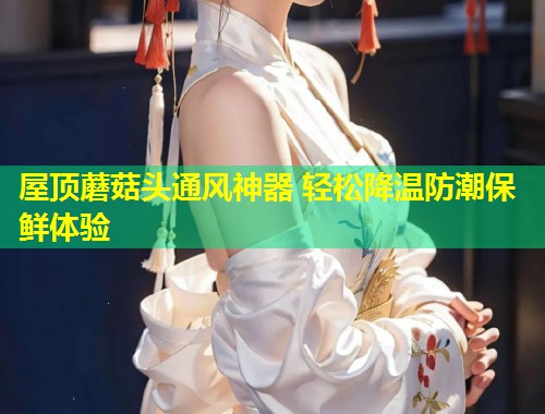 屋顶蘑菇头通风神器 轻松降温防潮保鲜体验  第1张