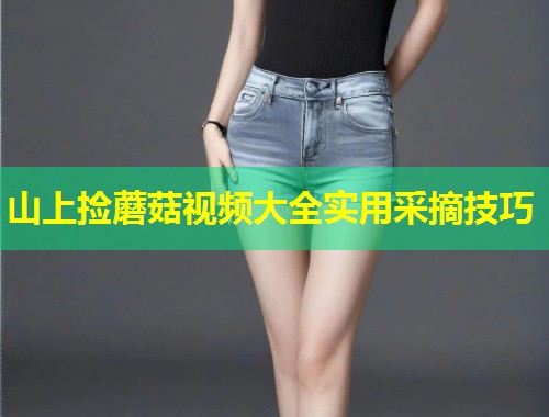 山上捡蘑菇视频大全实用采摘技巧  第1张