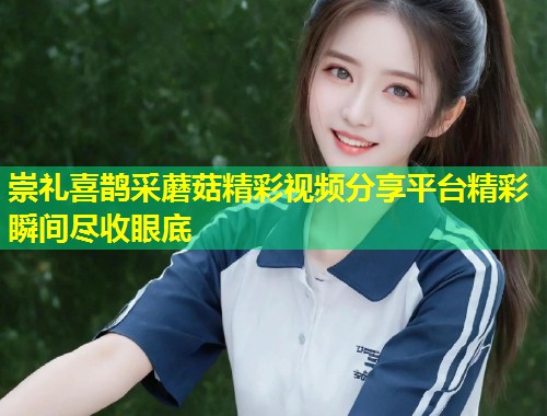 崇礼喜鹊采蘑菇精彩视频分享平台精彩瞬间尽收眼底  第1张