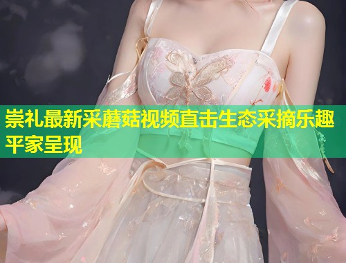 崇礼最新采蘑菇视频直击生态采摘乐趣平家呈现  第1张