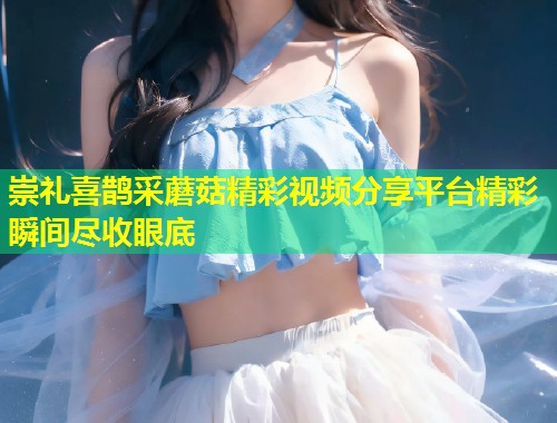 崇礼喜鹊采蘑菇精彩视频分享平台精彩瞬间尽收眼底  第2张