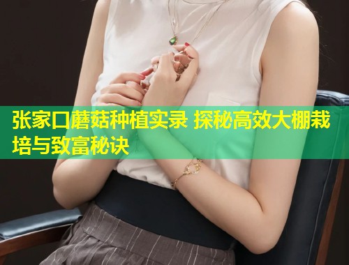 张家口蘑菇种植实录 探秘高效大棚栽培与致富秘诀  第1张