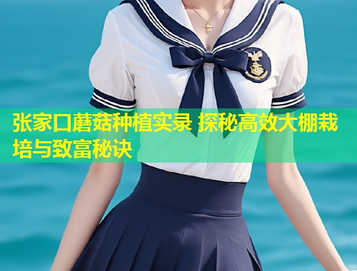 张家口蘑菇种植实录 探秘高效大棚栽培与致富秘诀  第2张
