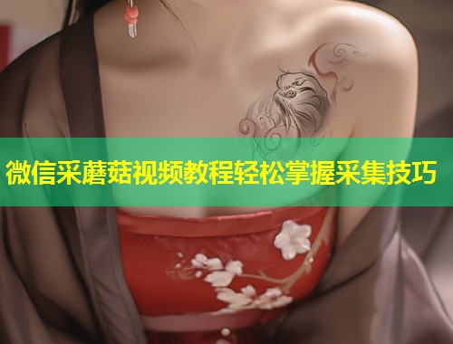 微信采蘑菇视频教程轻松掌握采集技巧  第2张
